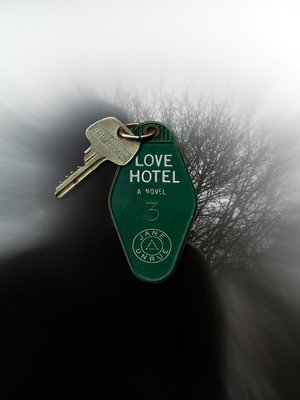 cover image of Love Hotel